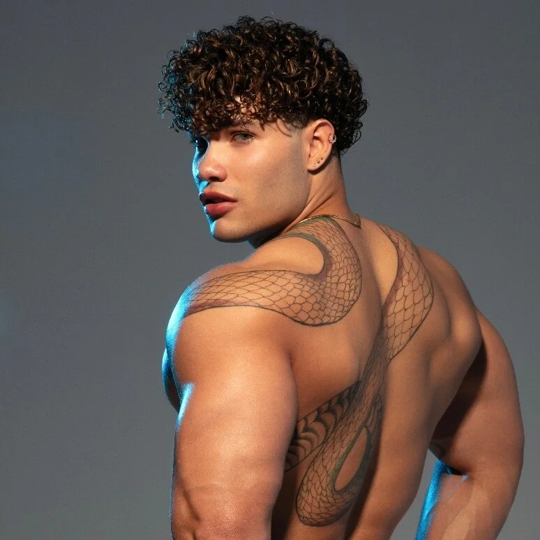 Abrahamjqr OnlyFans profile showcasing diverse content.