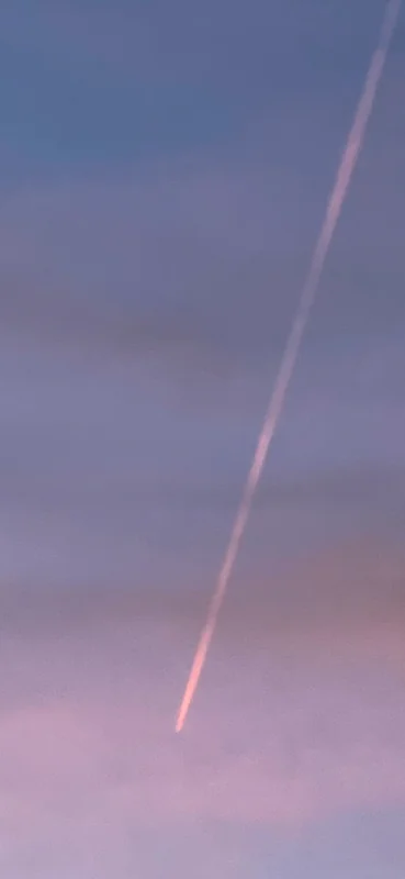 Bickie808 - OnlyFans Creator Profile Picture