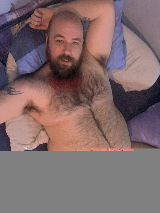 Britishbear69 - OnlyFans Creator Profile Picture