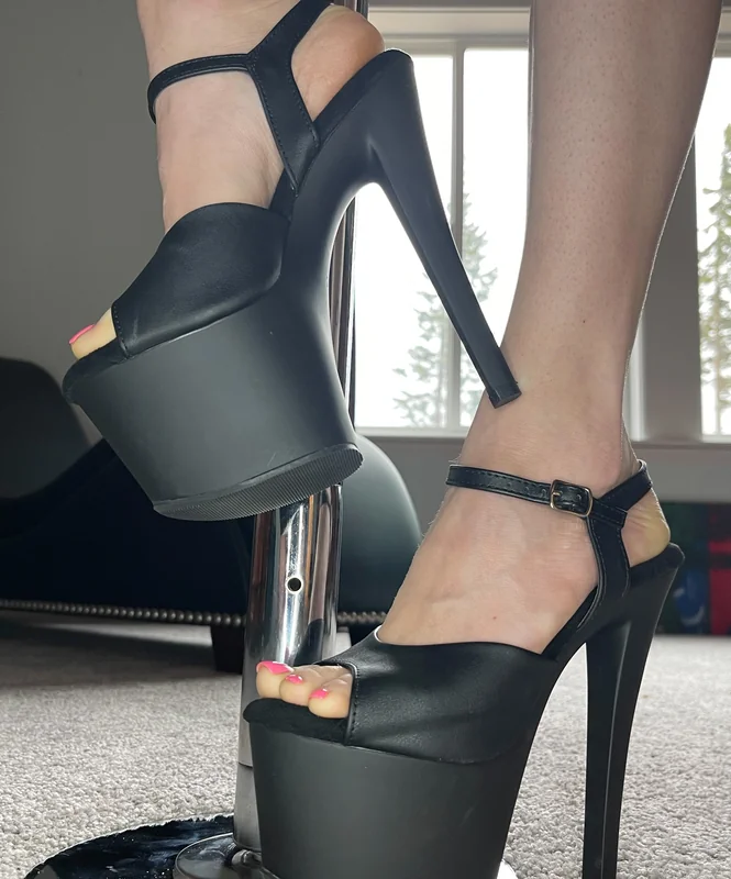 Bee - OnlyFans Creator Profile Picture