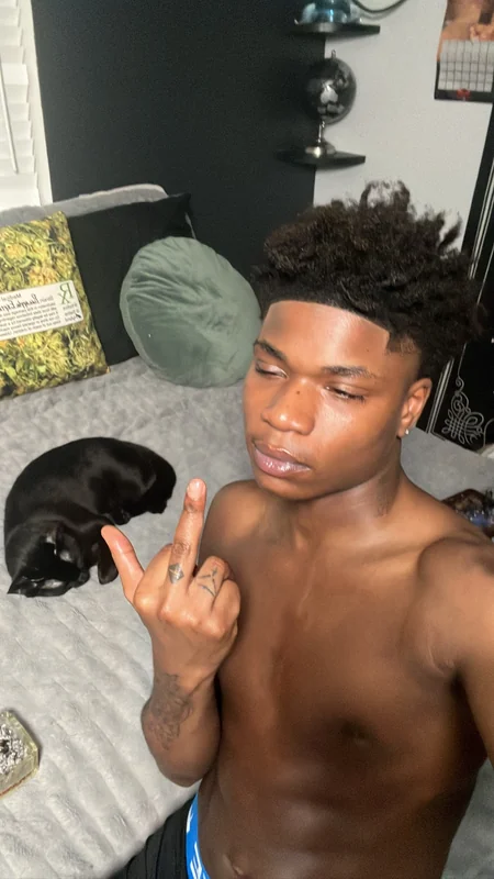 WholeLottaGaySh_niconico - OnlyFans Creator Profile Picture