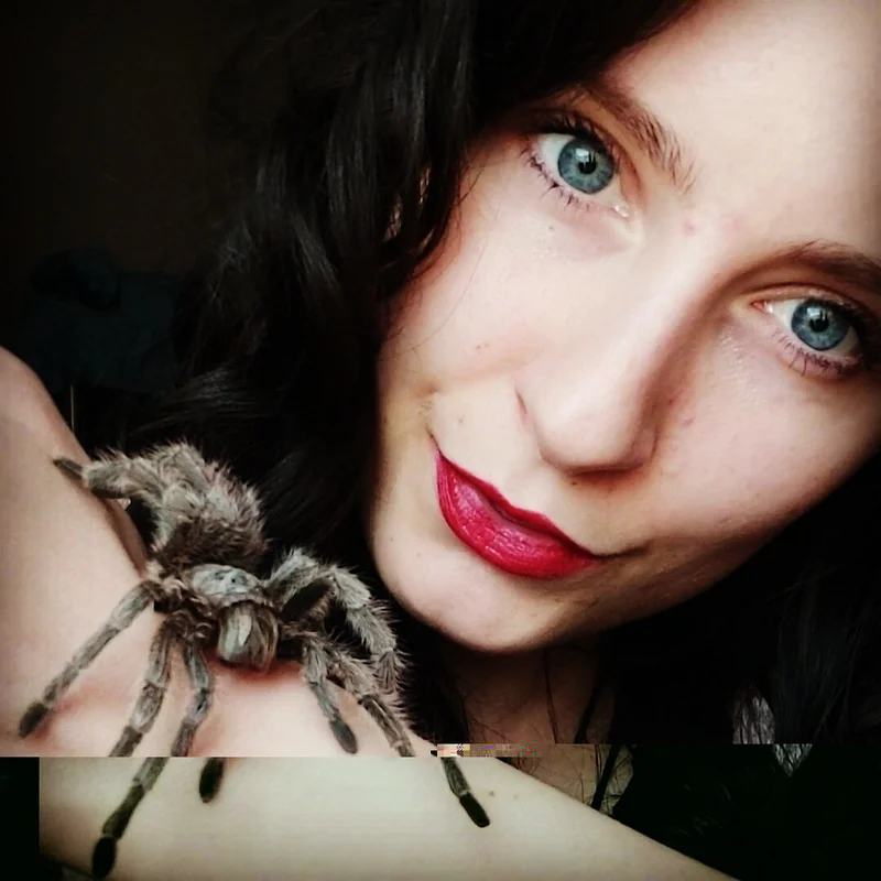ellediabla OnlyFans Profile ellediabla on OnlyFans showcasing unique content