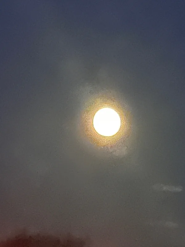 Englishpeaches - OnlyFans Creator Profile Picture