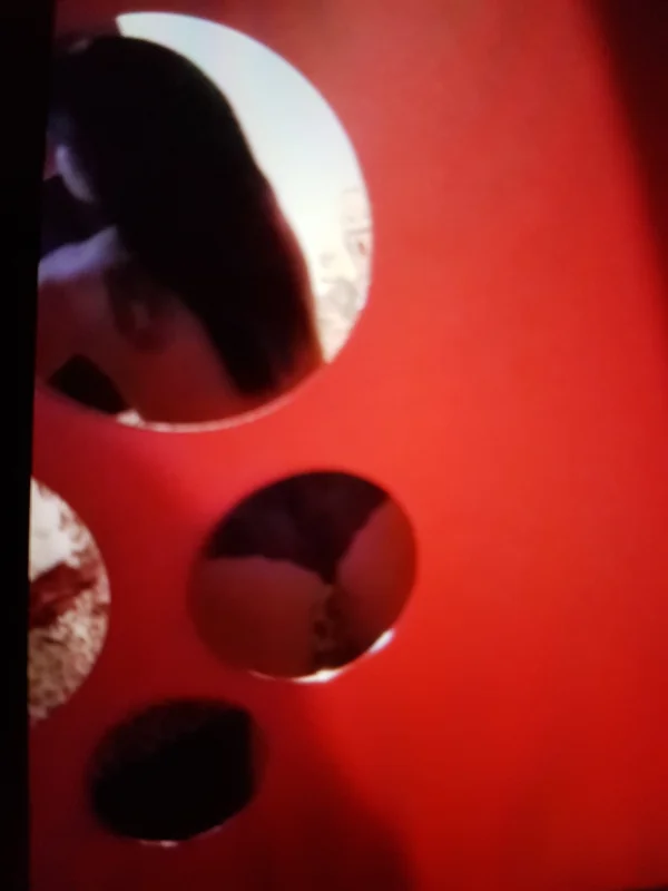 Foxy1972 - OnlyFans Creator Profile Picture