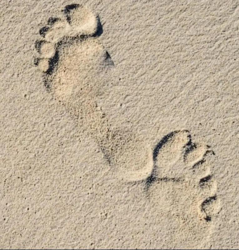 Gallinero Revolucionado - OnlyFans Creator Profile Picture