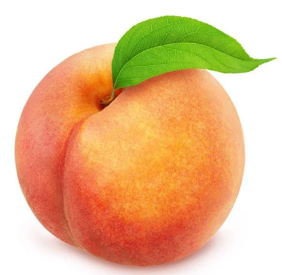 Hugefatbum - OnlyFans Creator Profile Picture