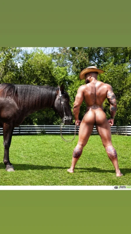 Rudebwoy OnlyFans Profile Rudebwoy OnlyFans creator with engaging content