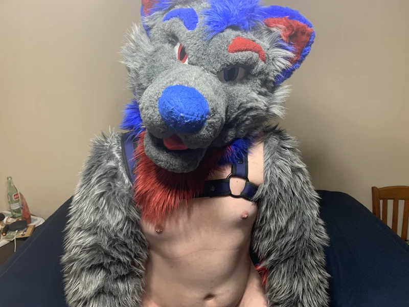 Konrad OnlyFans Kinky Furry Creator
