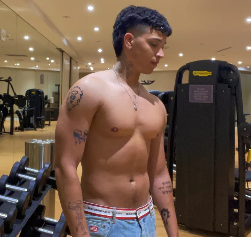 Louiestark OnlyFans Creator with curated content