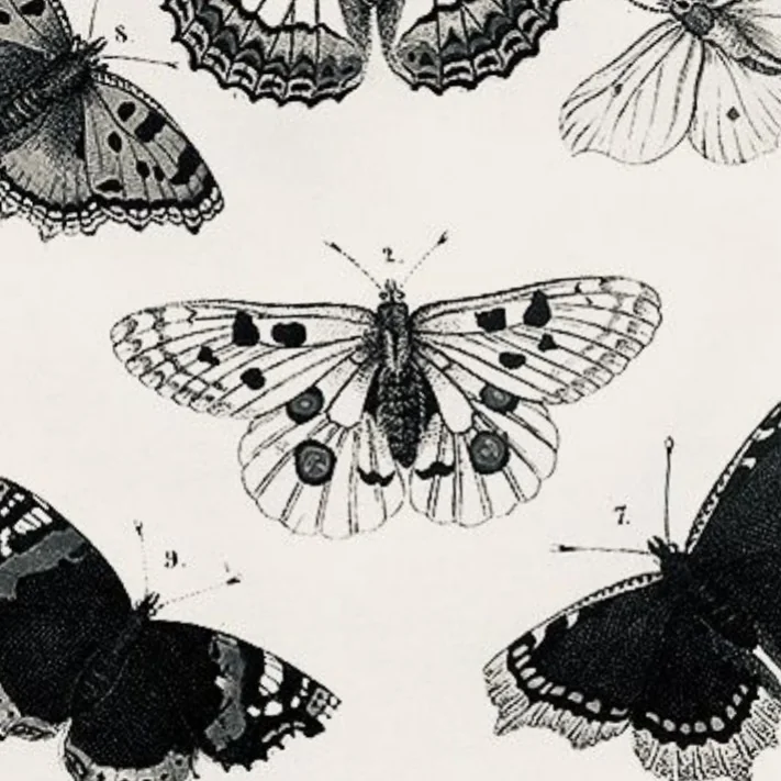 Lucille - OnlyFans Creator Profile Picture