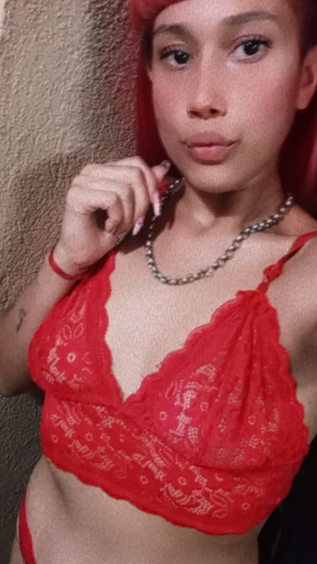 little blue butterfly OnlyFans profile picture little blue butterfly OnlyFans creator profile
