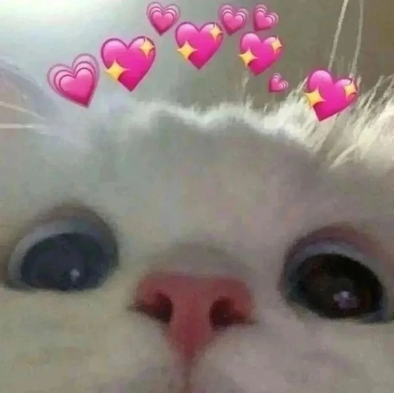 ‍ - OnlyFans Creator Profile Picture