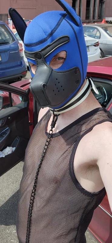 Mcpuptop OnlyFans Profile Mcpuptop OnlyFans creator with engaging content