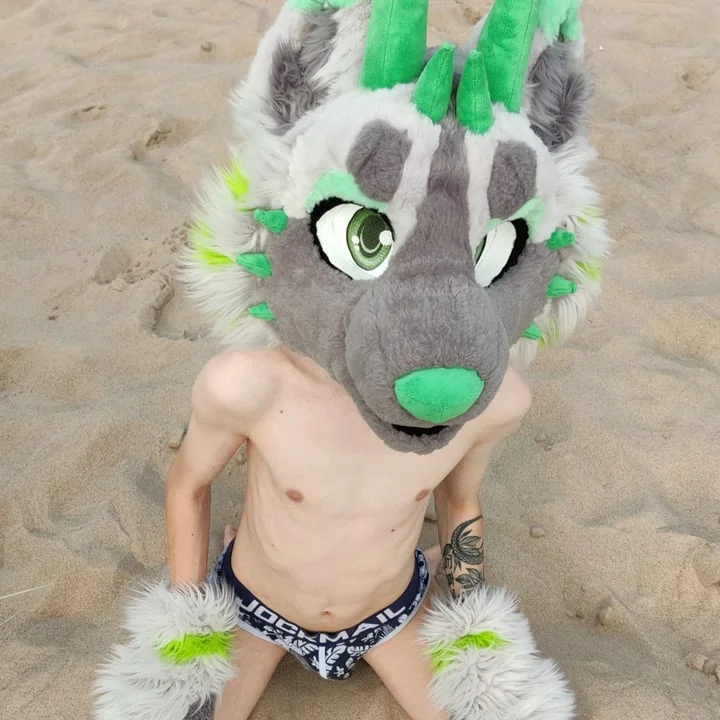 Midorifox - OnlyFans Creator Profile Picture