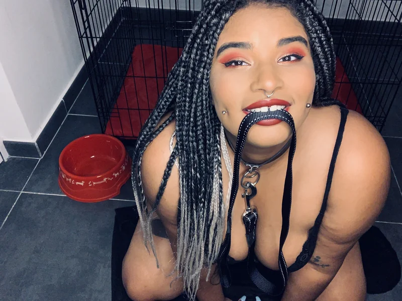Missestigiafree - OnlyFans Creator Profile Picture