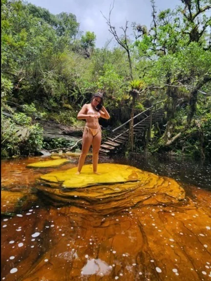 Nicoly Antunes de Carvalho - OnlyFans Creator Profile Picture