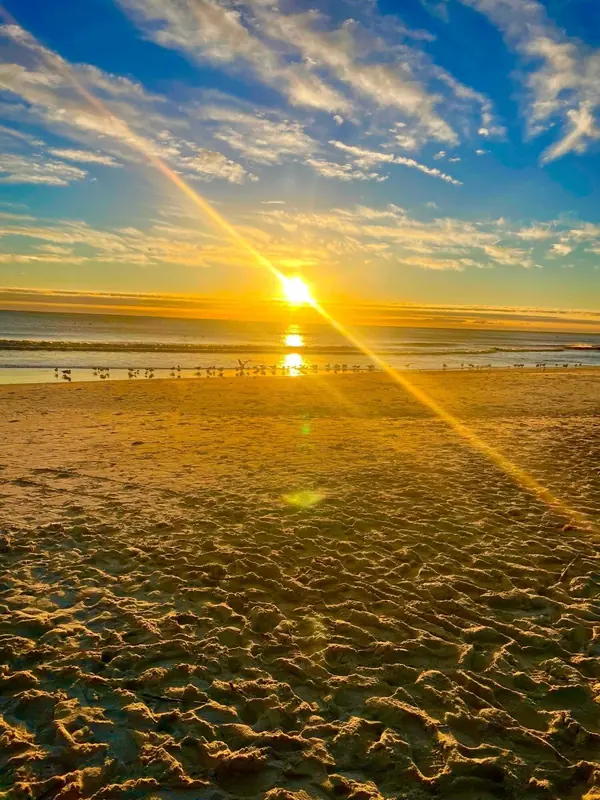 Noraell - OnlyFans Creator Profile Picture