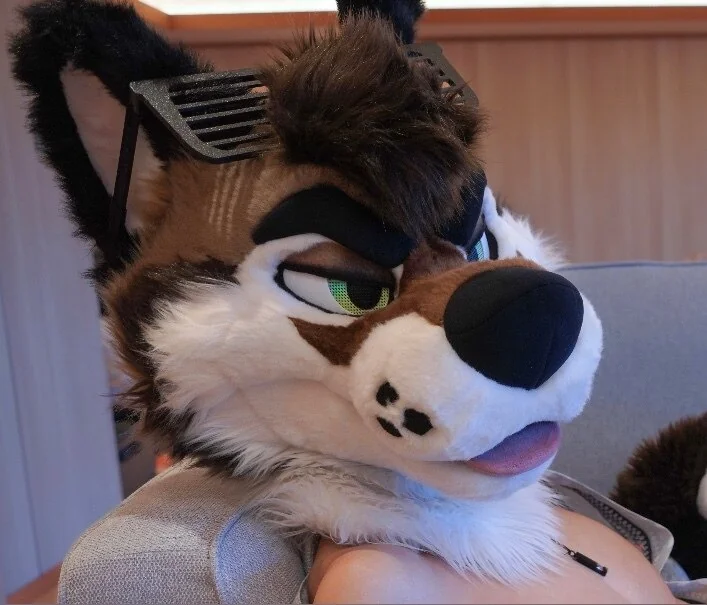 Palacewolf - OnlyFans Creator Profile Picture