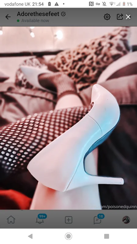 Raptortoes OnlyFans Creator Raptortoes OnlyFans creator with unique feet