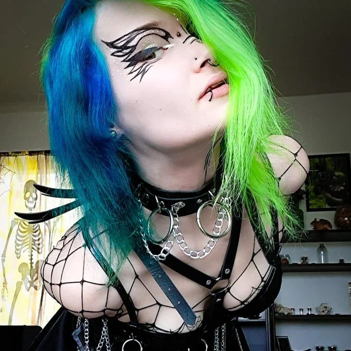 Siipirikko - OnlyFans Creator Profile Picture