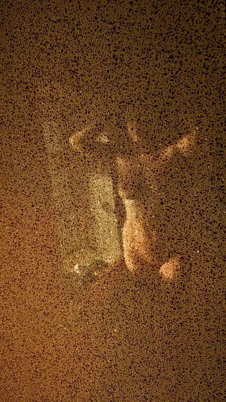 I Am Flo - OnlyFans Creator Profile Picture