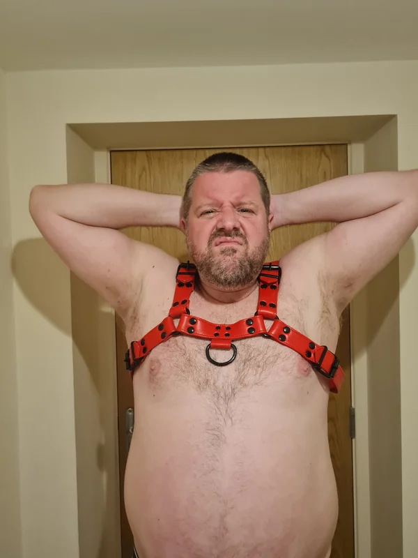 Steviebear1973 OnlyFans profile