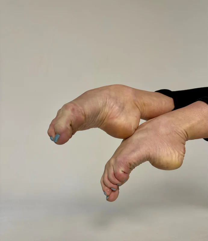Swan Feet Fans Official OnlyFans Profile Swan Feet Fans OnlyFans ballerina