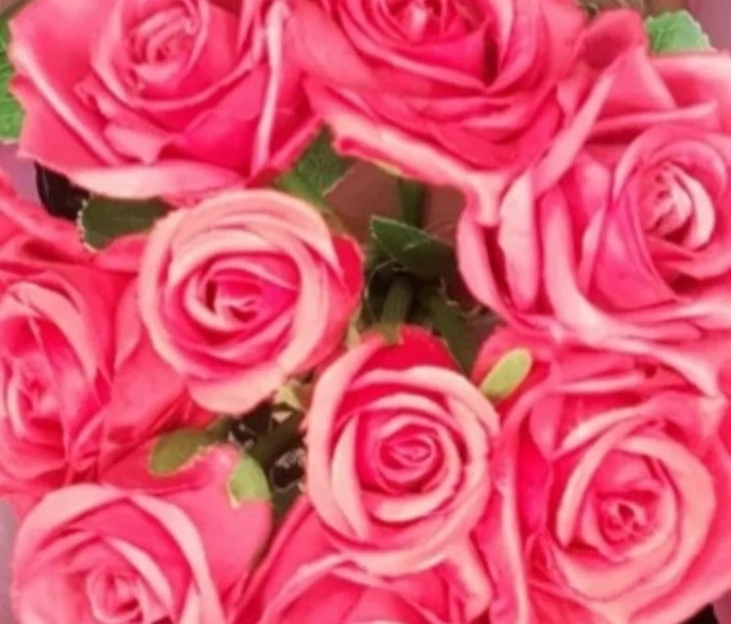 Tanningirl - OnlyFans Creator Profile Picture