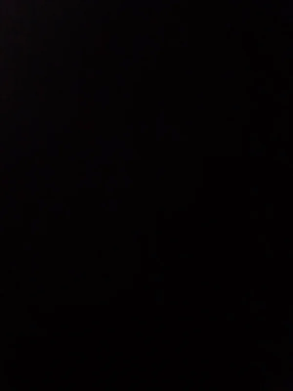 the - OnlyFans Creator Profile Picture