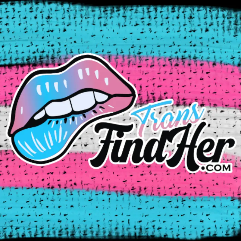 Transfindher OnlyFans Profile Transfindher OnlyFans creator showcasing real content