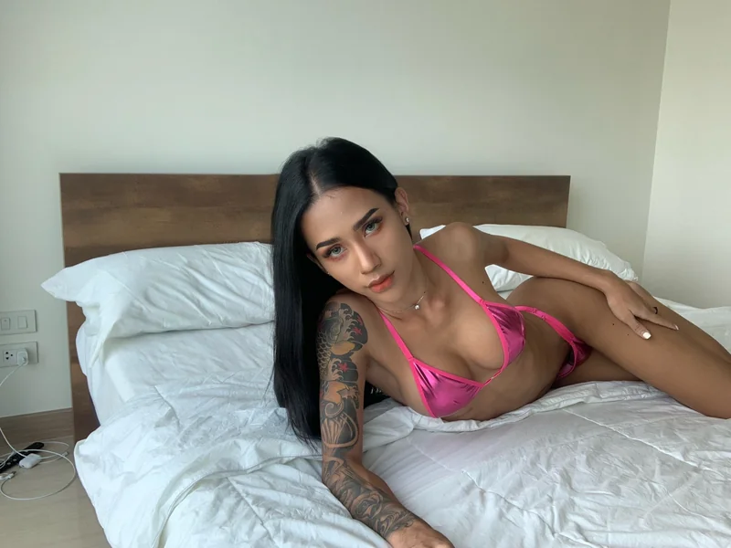 michell OnlyFans Creator michell OnlyFans Thai ladyboy with sexy photos