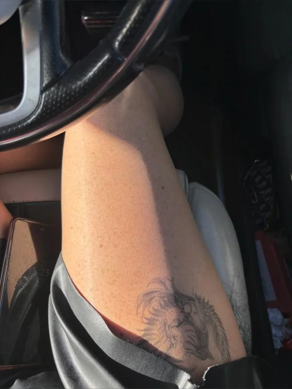 Just legs - OnlyFans Creator Profile Picture