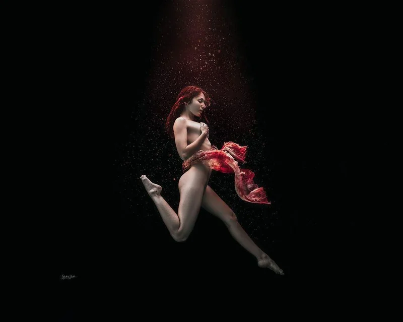 Zoesfrenchpress - OnlyFans Creator Profile Picture